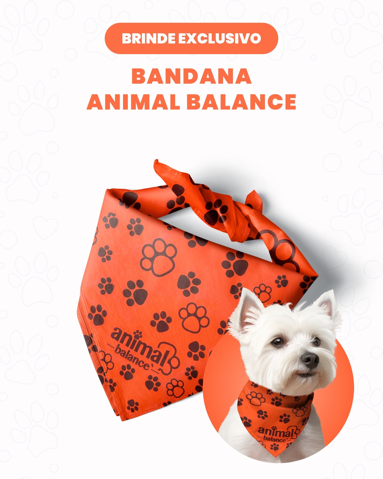 Free Gift – Protective Bandana